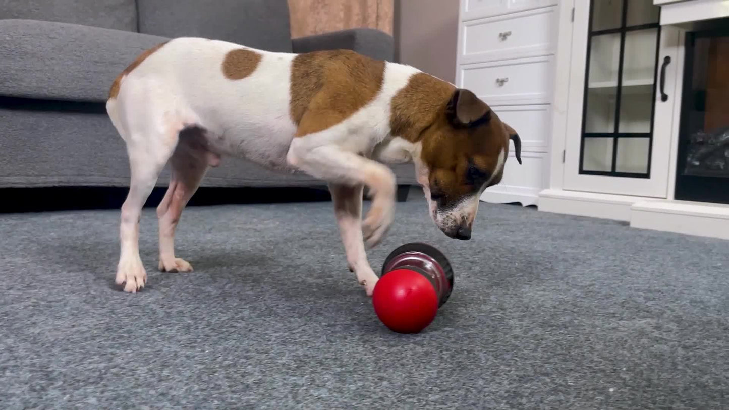 Interactive Slow Feeder Dog Toy Ball