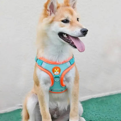 Reflective No-Pull Pet Harness with Leash