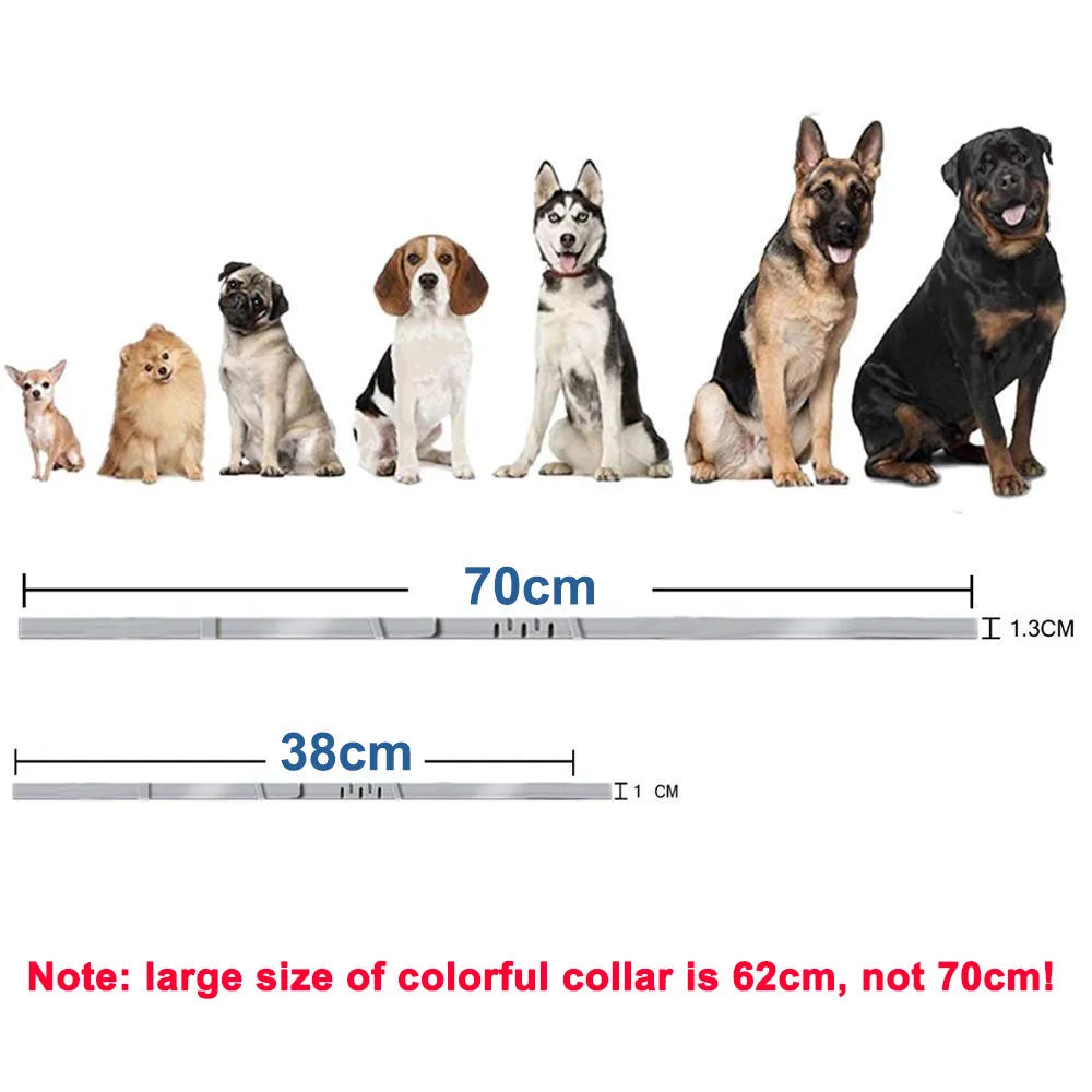 Adjustable Quick-Release Pet Collar