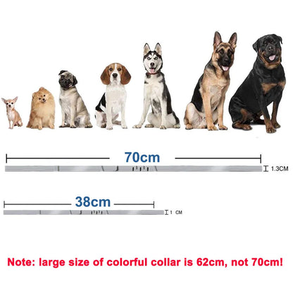 Adjustable Quick-Release Pet Collar