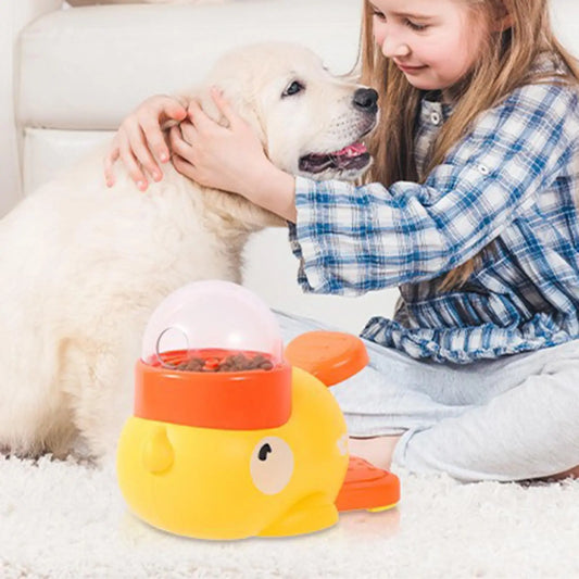 Slow Feeder Bowl for Dogs