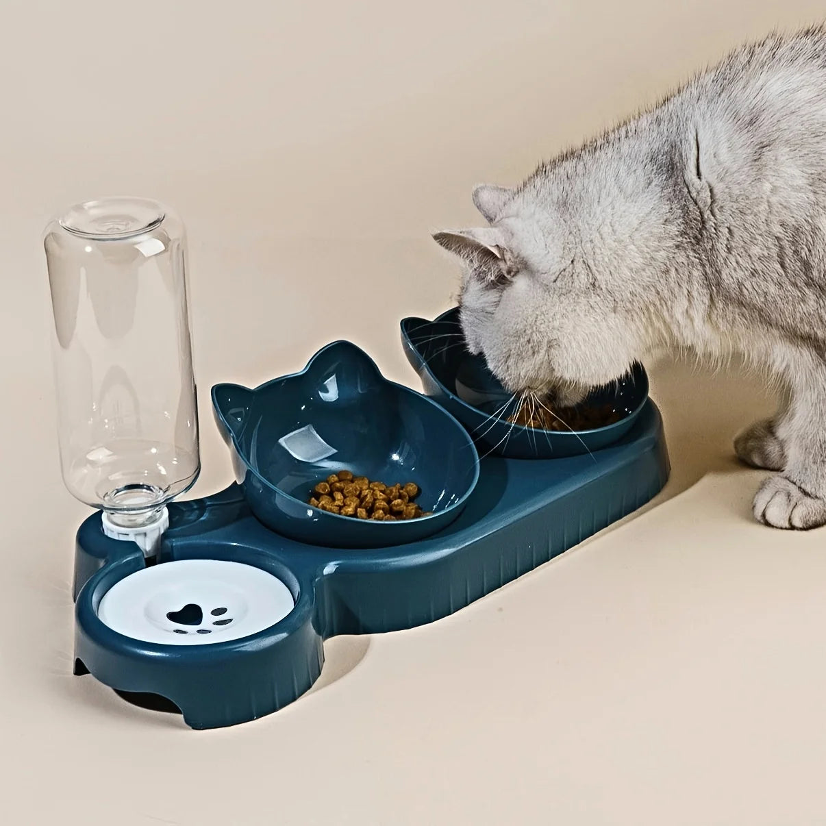 3-in-1 Tilted Cat Bowl Set with Water Dispenser
