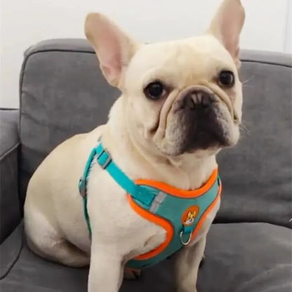 Reflective No-Pull Pet Harness with Leash