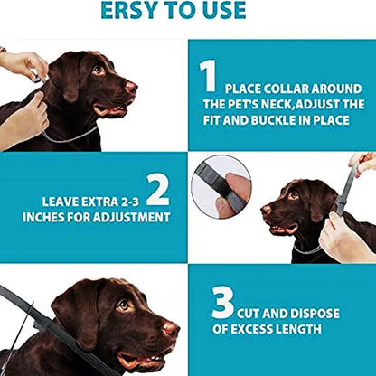 Adjustable Quick-Release Pet Collar
