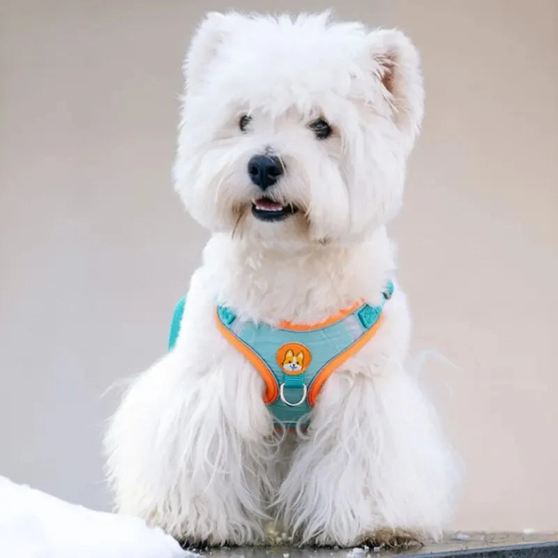 Reflective No-Pull Pet Harness with Leash
