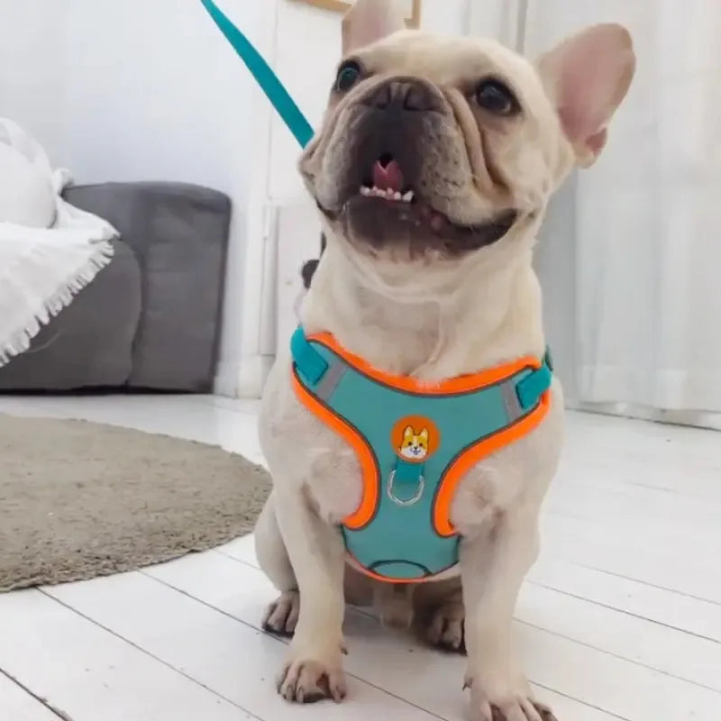 Reflective No-Pull Pet Harness with Leash