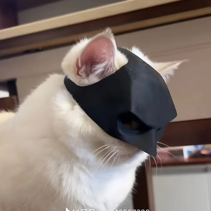 Kattmask